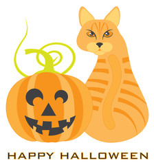 Halloween Orange Tabby Cat Pumpkin isolated on white background vector Illustration