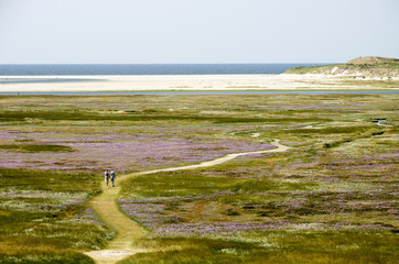 View from the top of a dune towards the Slufter nature reserve on the Dutch island of Texel, with a...