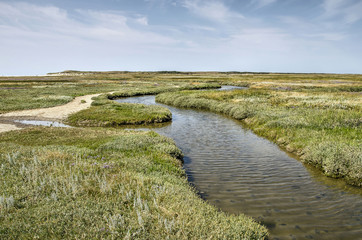 Tidal creek and sandy footpth next to it in the Slufter nature reserve on the Dutch island of Texel