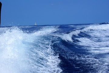 Fototapeta premium mar adentro