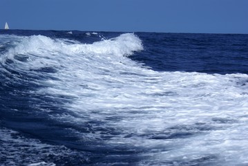 Fototapeta premium mar adentro