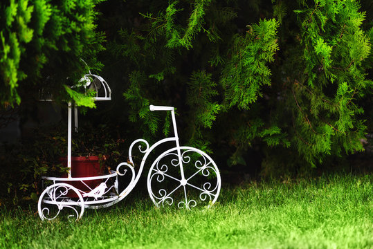 Garden sculpture on a grass. White frame for a flower pot shaped as metal three-wheeled bicycle. Green thuja in the background