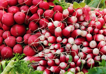 Colorful radish in a basket