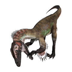 3D Rendering Dinosaur Utahraptor on White
