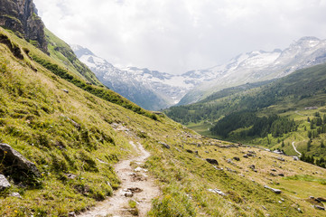 Sils, Fextal, Val Fex, Fexgletscher, Piz Tremoggia, Wanderweg, Alm, Oberengadin, Graubünden, Sommer, Schweiz