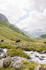 Sils, Fextal, Val Fex, Fexgletscher, Piz Tremoggia, Wanderweg, Alm, Oberengadin, Graubünden, Sommer, Schweiz