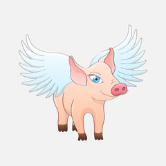 Funny pig with wings isolated on a gray background
