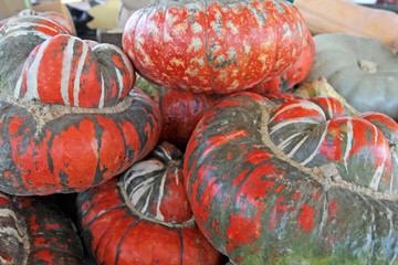 Pumpkin. Red and green fresh ornamental colorful pumpkins, gourds and squashes. Colorful ornamental...