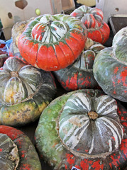 Pumpkin. Red and green fresh ornamental colorful pumpkins, gourds and squashes. Colorful ornamental...