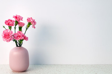 Pink carnations in a striped vase on a white wall copy space background