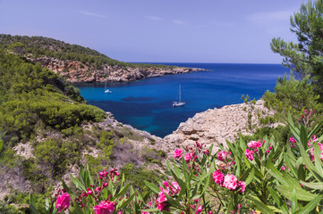 Bucht an der Punta des Forn auf Ibiza im Sommer