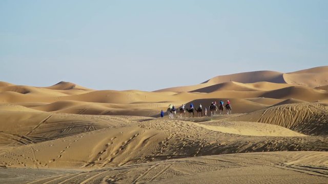 Camel caravan with tourists in the sahara desert, shot in slow motion.