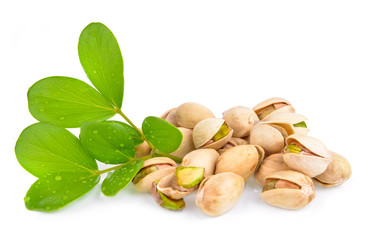 Pistachio isolated on white background.