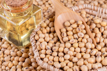 Soybean oil on a wooden background. rustic style