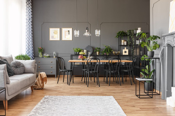 Spacious flat interior with gray sofa, wooden dining table, black chairs and a rug on a wooden...