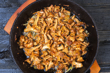 Fried chanterelle mushrooms in a cast iron pan