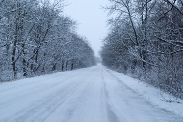 Winter road, Ukraine