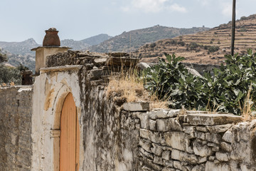 Mur de jardin avec figuier en Grèce