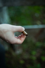 Young handsome stylish man smoking cigar