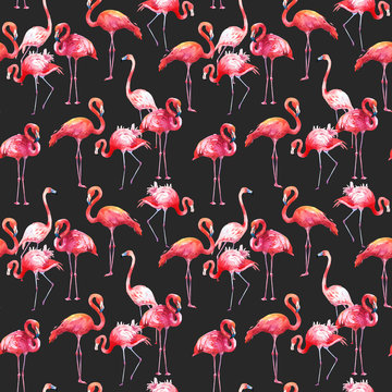 Watercolor seamless pattern on black background. Illustration with pink flamingo. Tropical bird. Paradise.