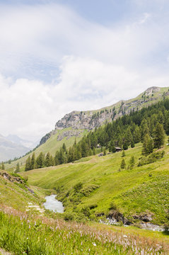 Sils, Val Fex, Fextal, Wanderweg, Fex Cresta, Furtschellas, Alpen, Marmor&egrave;, Furtschellas, Oberengadin, Graub&uuml;nden, Sommer, Schweiz