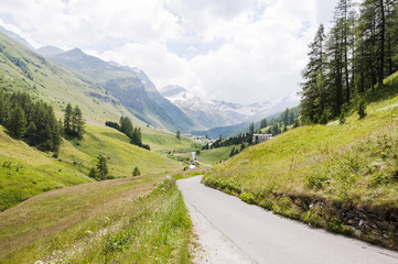 Fototapeta na wymiar Sils, Val Fex, Fextal, Val Fedoz, Oberengadin, Wanderweg, Seitental, Alpen, Graubünden, Sommer, Schweiz