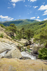 Fototapeta na wymiar Cascading river flowing through a forest full of waterfalls.