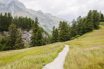 Obraz premium Sils, Val Fex, Fextal, Wanderweg, Schlucht, Fex Platte, Fedacla, Fluss, Schluchtweg, Oberengadin, Alpen, Sommer, Graubünden, Schweiz