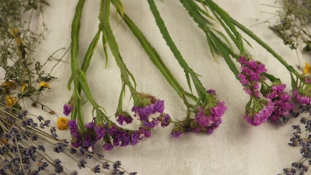 Decorative composition from  the everlasting flowers- statice  on a white board, background