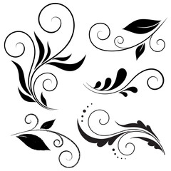 Calligraphic design elements, Vector set