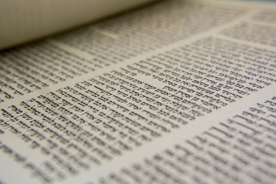 Torah Scroll