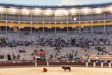 Bullfight Madrid