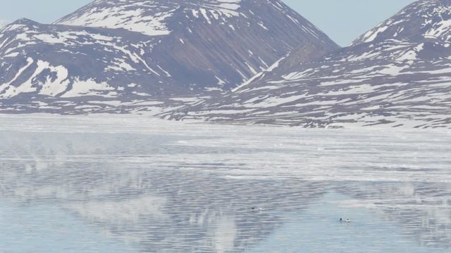 Ski doo Pulling a Qamutik Sled, Pond Inlet Nunavut