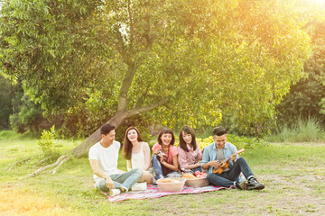 picnic with friends