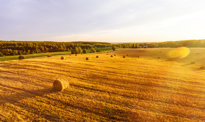 field with sheaves of wheat © dimaris