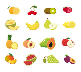 Fruit set in blank background