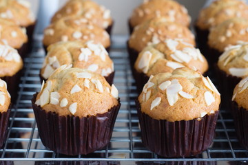 Bakery of Banana cupcake with close up shot.