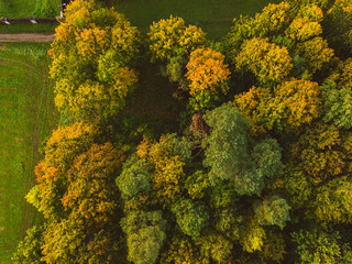 Aerial view of park in autumn