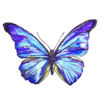 beautiful blue butterfly,watercolor,isolated on a white background