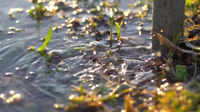 Slow motion water hitting a puddle. Filmed in a park at sunset.