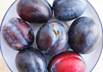 Ripe plums, Prunus on the tea plate, close up view
