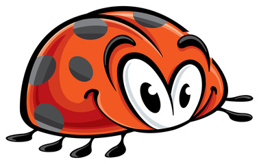 Ladybug