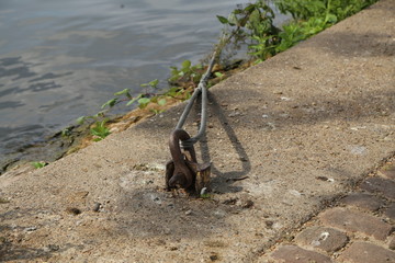 cable on the river bank