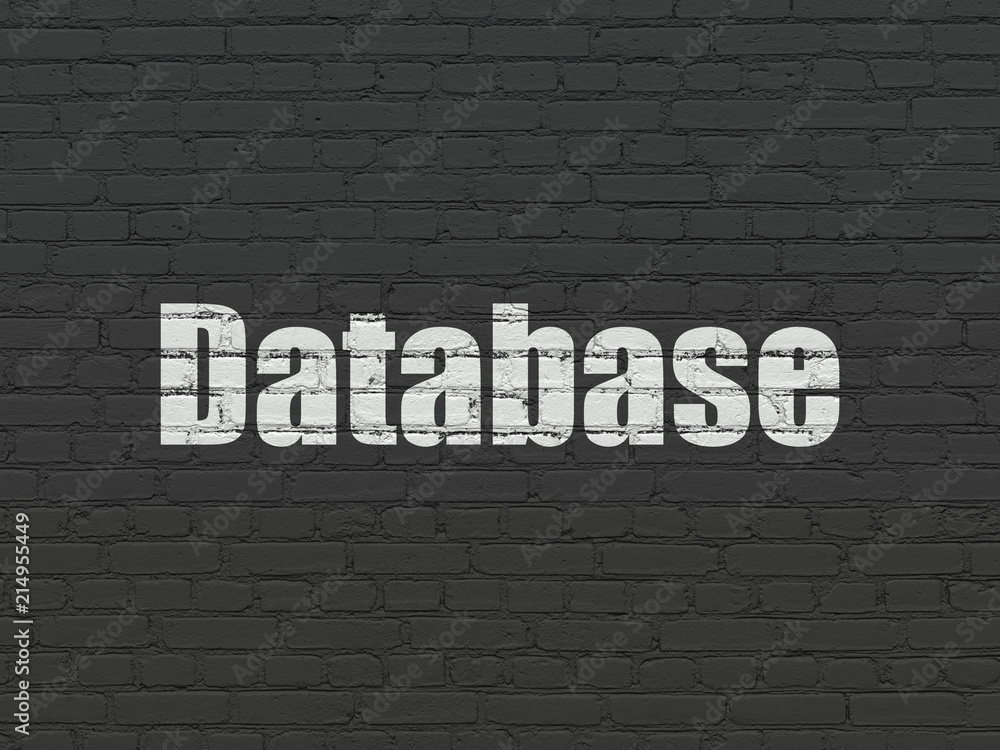Aufkleber programming concept: painted white text database on black brick wall background