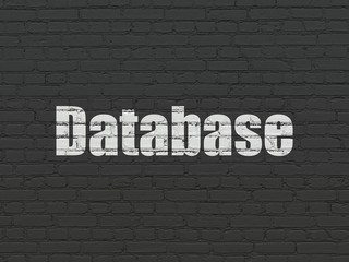 Obraz premium Programming concept: Painted white text Database on Black Brick wall background