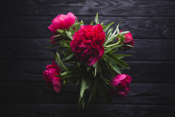 bouquet of red peonies, dark background,