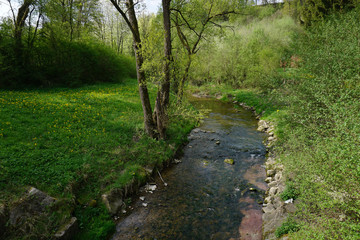 Starzel, Nebenfluß des Neckar bei Hechingen im Fruehling