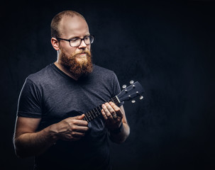 Redhead bearded male musician wearing glasses dressed in a gray t-shirt playing on a ukulele. Isolated on a dark textured background.