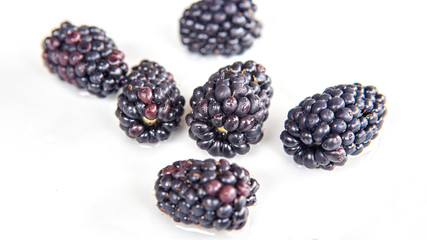 closeup of blackberries on white plate