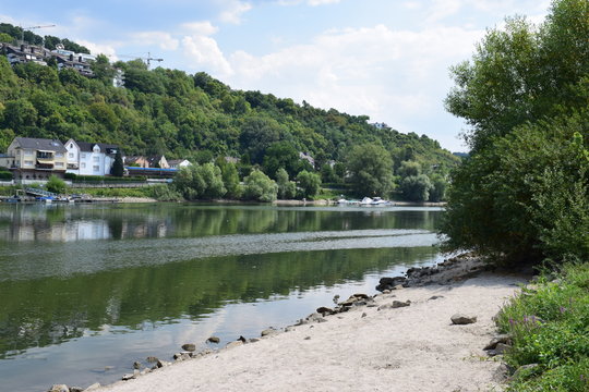 Rhein ufer bei Niederwerth / Vallendar